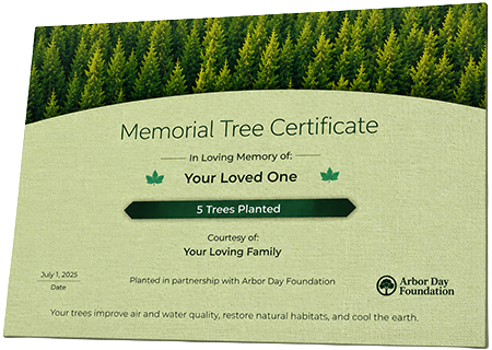 Plant Trees in Memory of Douglas James Simmons